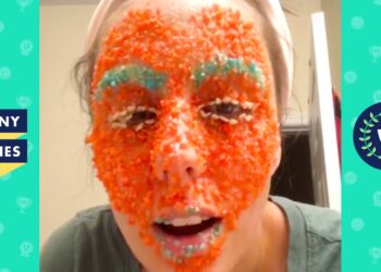 TRY NOT TO LAUGH – Best Viral Videos | Funny Videos of the Week