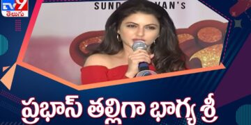 Tollywood Latest Updates || Entertainment Special – TV9