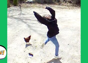 FAIL Like Nobody's WATCHING! ? | Funny Videos | AFV 2020