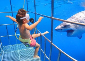 TRY NOT TO LAUGH – Funny Fails 2020 #10 – Funny Videos – Life.