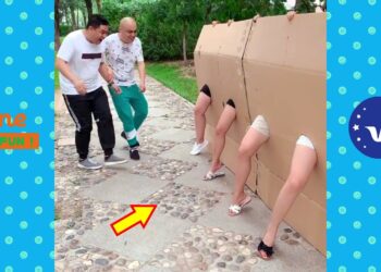 New Funny Videos 2020 ● People doing stupid things P157