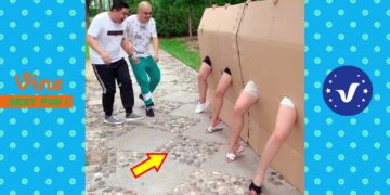 New Funny Videos 2020 ● People doing stupid things P157