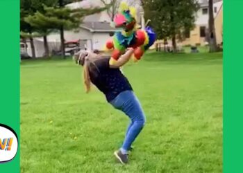 WOW! The Piñata FOUGHT BACK! ? | Funny Fails | AFV 2020