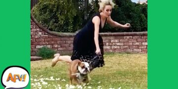 All DRESSED UP and Nowhere to FAIL! ?| Funny Videos | AFV 2020
