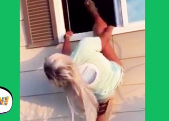 Yup, Seems FAIL-PROOF! ?| Funny Fails | AFV 2020