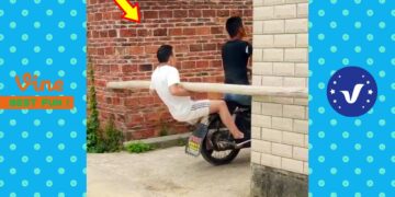 New Funny Videos 2020 ● People doing stupid things P160