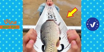 New Funny Videos 2020 ● People doing stupid things P137