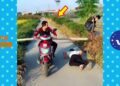 New Funny Videos 2020 ● People doing stupid things P159