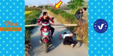 New Funny Videos 2020 ● People doing stupid things P159