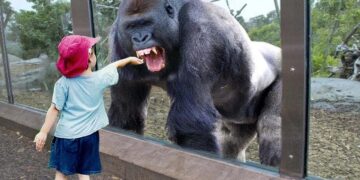 TRY NOT TO LAUGH – Funny Babies at the ZOO  – Funny Baby Video Compilation 2020