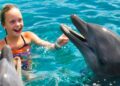 We Play with Dolphins on a Tropical Island! Kids Fun TV