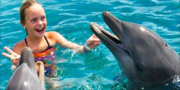 We Play with Dolphins on a Tropical Island! Kids Fun TV