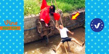 New Funny Videos 2020 ● People doing stupid things P167