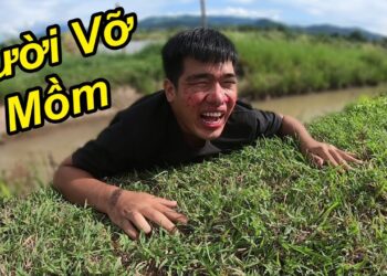 Funny Videos | Tập 29 | Xem Cả 10000 Lần Cũng Không Nhịn Được Cười | TQ97