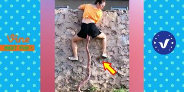 New Funny Videos 2020 ● People doing stupid things P133