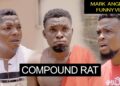 Compound Rat | Mark Angel Tv | Funny Videos