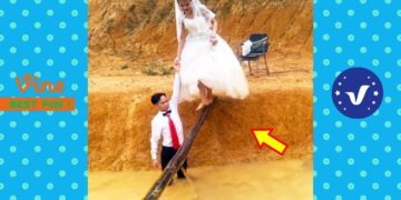 New Funny Videos 2020 ● People doing stupid things P172
