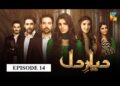 Diyar e Dil Episode 14 HUM TV Drama
