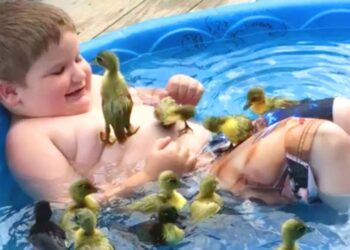 TRY NOT TO LAUGH – Funny Videos 2020 | #37