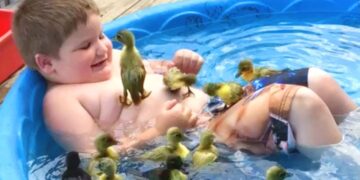 TRY NOT TO LAUGH – Funny Videos 2020 | #37