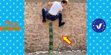 New Funny Videos 2020 ● People doing stupid things P132