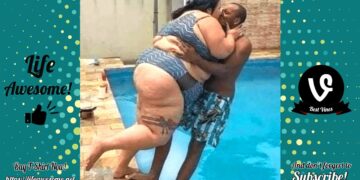 Try Not To Laugh ? Funny Fails Video 2020 – 30 minutes of Fails