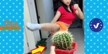 New Funny Videos 2020 ● People doing stupid things P66