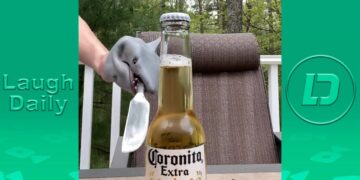 Shark Puppet New TikTok Compilation 2020 | All Shark Puppet Funny Videos