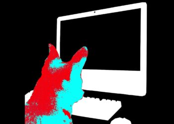 Lilac Boy – Pop Music