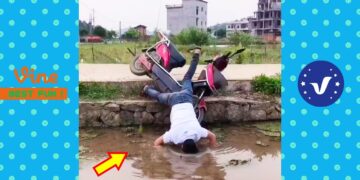 New Funny Videos 2020 ● People doing stupid things P174
