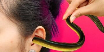 Stop motion Cooking ? How To make SNAKE FOOD Mukbang ? Funny Videos ASMR Eating 4K