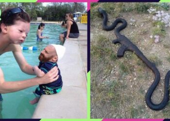 Probably the Funniest and Coolest Videos Ever ▶3