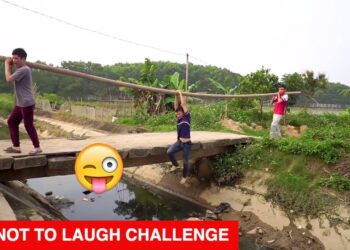 TRY NOT TO LAUGH CHALLENGE ? Comedy Videos 2019 – Funny Vines | Episode 20
