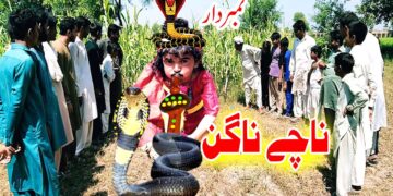 Funny| New Top Funny Comedy Video | Comedy Videos |Must Watch Top New Comedy Video 2020 | You Tv