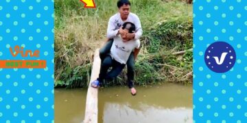 New Funny Videos 2020 ● People doing stupid things P146