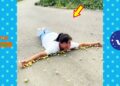 New Funny Videos 2020 ● People doing stupid things P189
