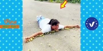 New Funny Videos 2020 ● People doing stupid things P189