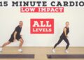 Fun 15 minute low impact no equipment cardio/resistance home workout