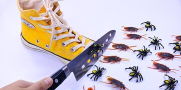 Stop motion Cooking ? How To make COCKROACHES FOOD Mukbang ? Funny Videos ASMR Eating 4K