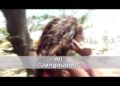 Ali Jangobo Clip Officiel 2014