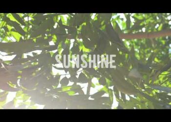 Teyland-Sunshine #hiphop #Rap #Teyland #Lofi #Music