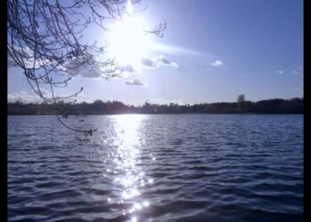 Snowflake (Emily Richards): In Peace |  Free Vocal Pop Music (Royalty-free)