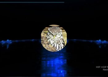 Hip Hop Music : Next Level