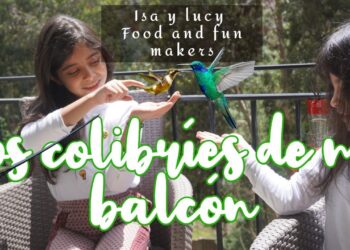 COLIBRÍES en nuestro balcón, Isa y Lucy food and fun makers.