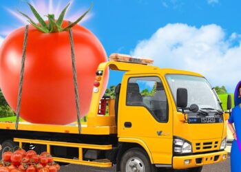 बडा टमाटर – GIANT TOMATO Comedy Story | Hindi Funny Videos | Moral Stories Fairy Tales MAA MAA TV