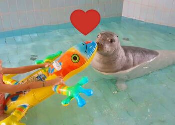 Kids Playing at water park. Funny videos joke