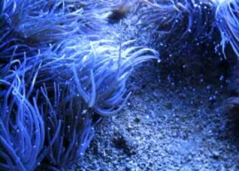 Mix Instrumental songs 2014 of the month all pop bollywood new nonstop recent music hindi