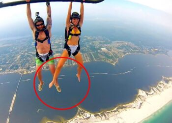 MOMENTS IF WERE NOT FILMED, NO ONE WOULD BELIEVE!