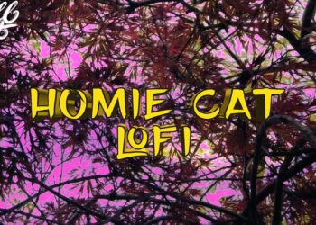 [No Copyright Music] Chill Lofi Hip Hop Beat FREE Instrumental (Copyright Free) LoFi Hip-Hop Music