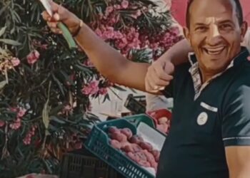 GONZALES – SAUVAGE (officiel video)